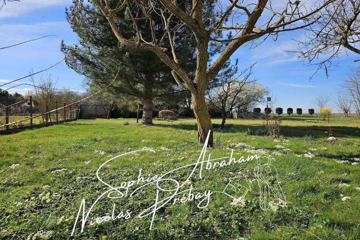 Maison à BAZOCHES-LES-GALLERANDES