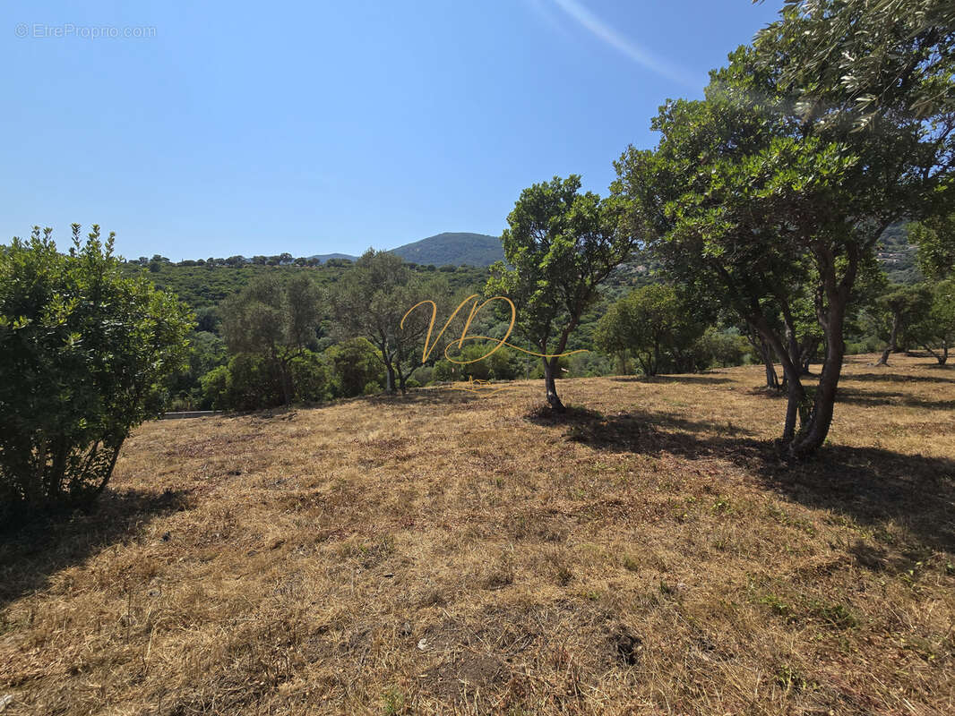 Terrain en vente à Cavalaire-Sur-Mer - photo 2
