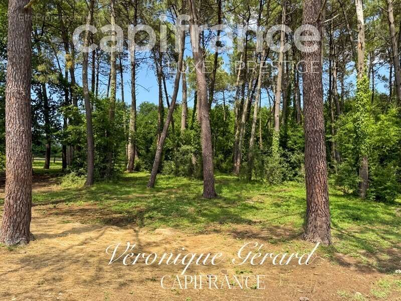 Maison à SALLEBOEUF