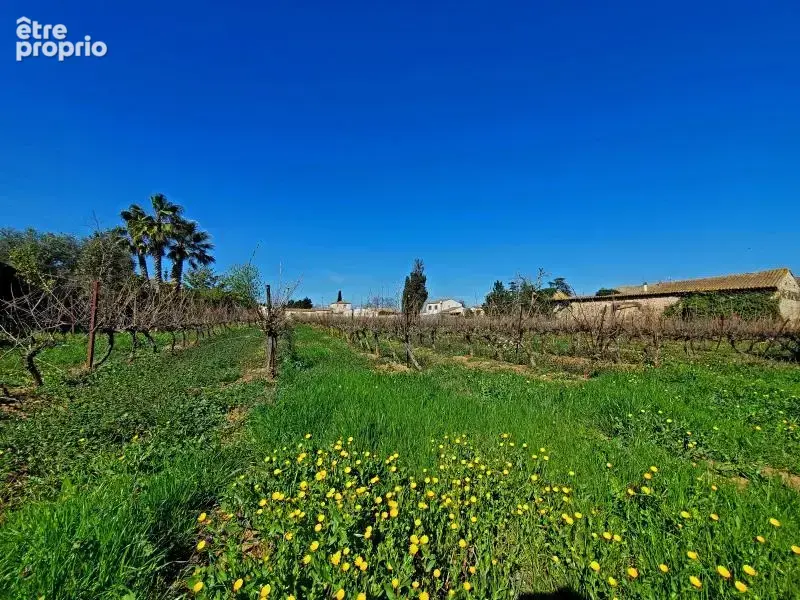 Photo Terrain à Pomerols au prix de 122 000€