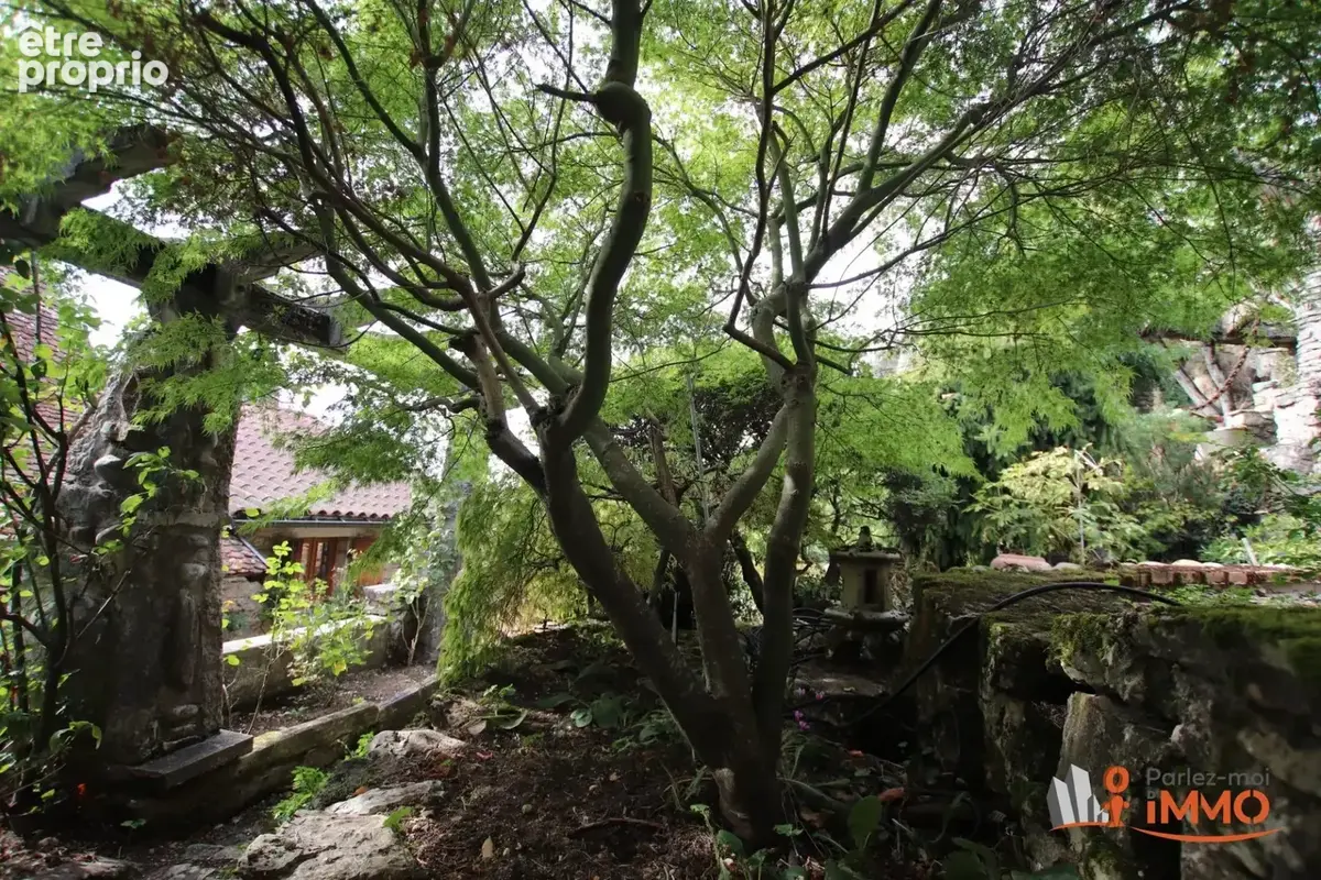 Maison à vendre Saint-Sorlin-en-Bugey - photo 13