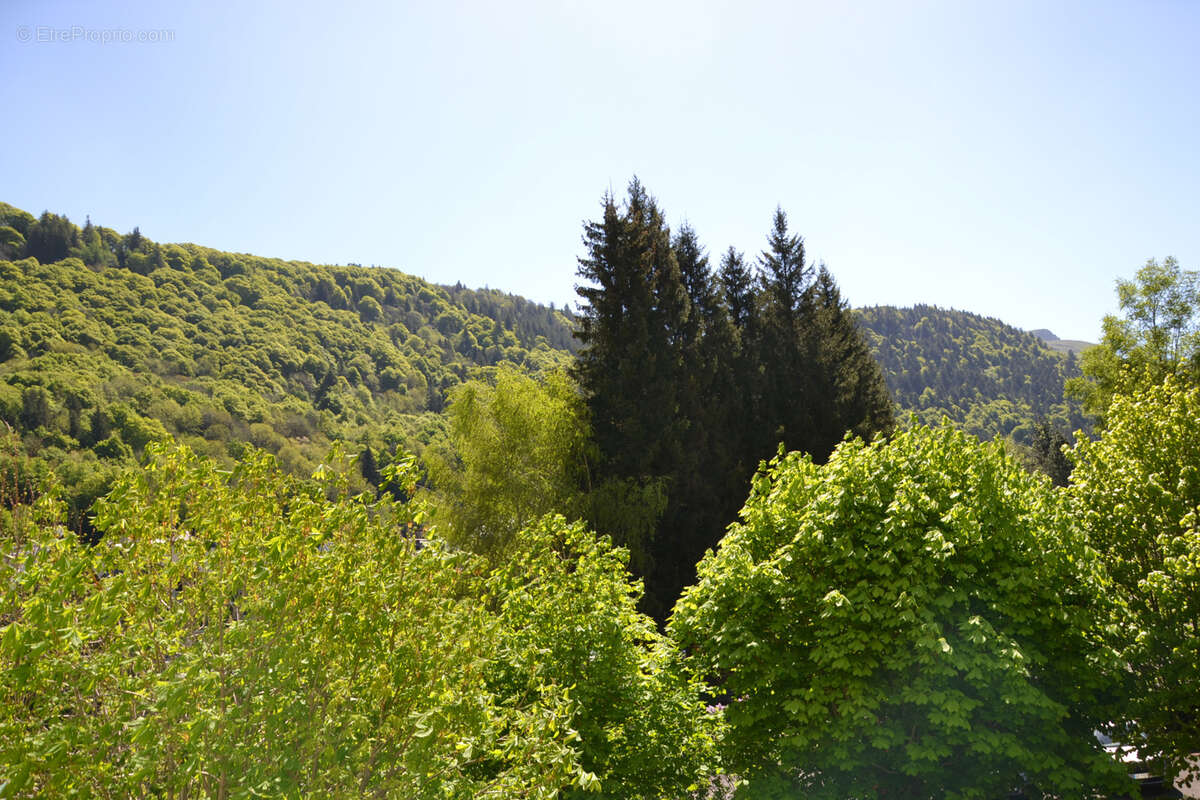 Lumineux T3 de 50m2 avec balcon et belle vue sur les montagnes - photo 7