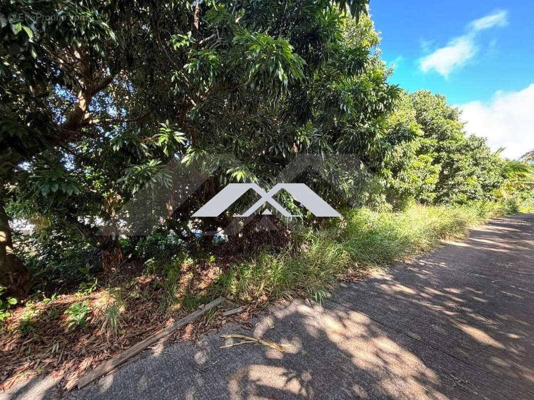 Terrain à SAINT-JOSEPH