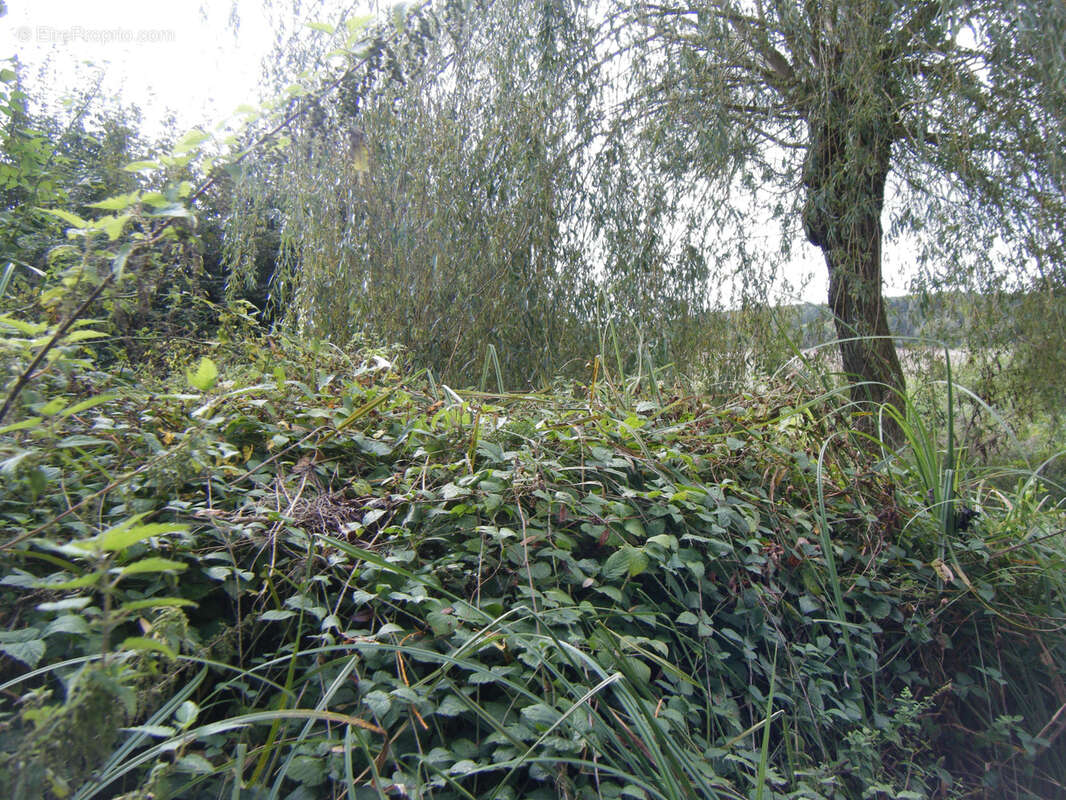 Terrain à CLOYES-SUR-LE-LOIR