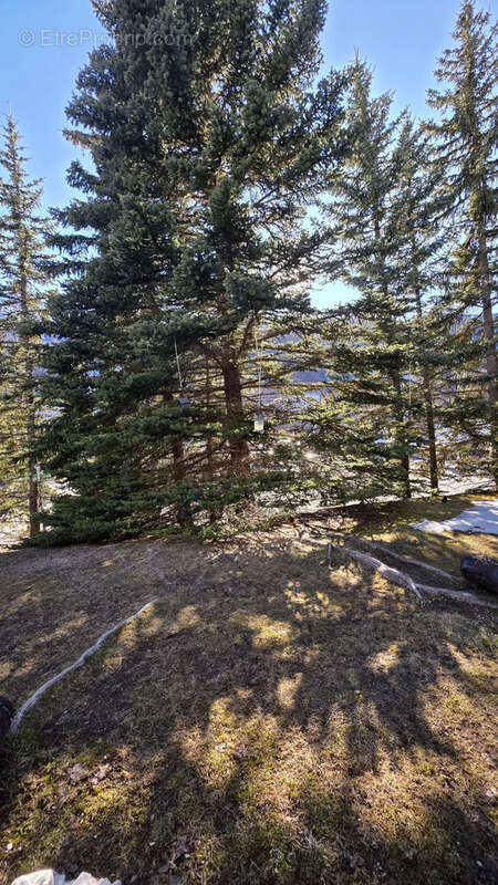 Appartement à SAINT-CHAFFREY