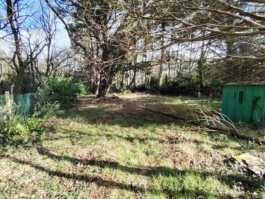 Terrain à SAINT-HILAIRE-DE-RIEZ