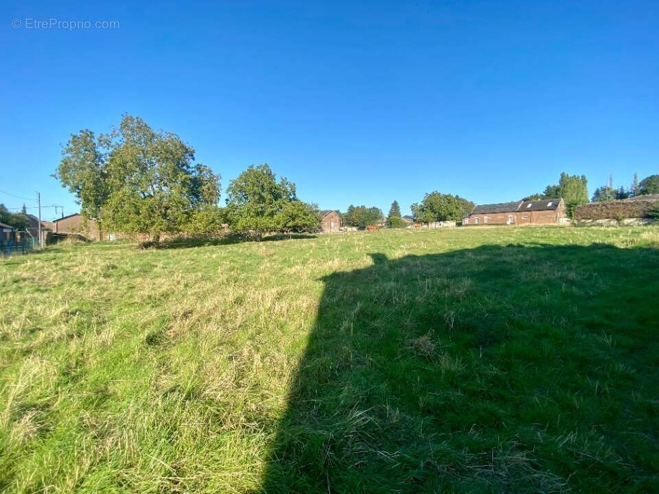 Terrain à VAULX-VRAUCOURT