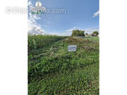 Terrain à LECHATELET