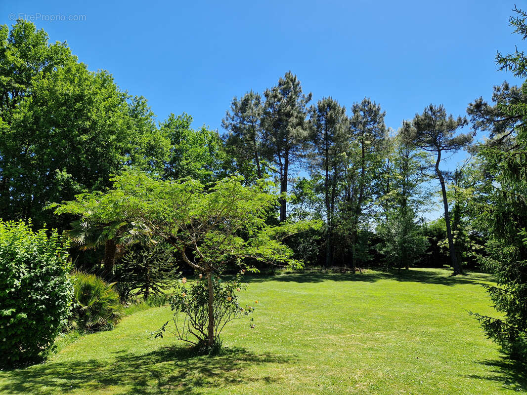 Proche Périgueux MAISON de PLAIN PIED 146 m2 avec 4 chambres / Grand garage / Grand terrain avec PISCINE. - photo 30