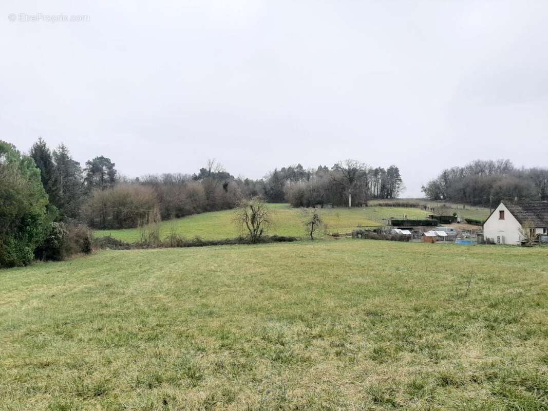 Terrain 5063 m² à Neuil  - photo 4