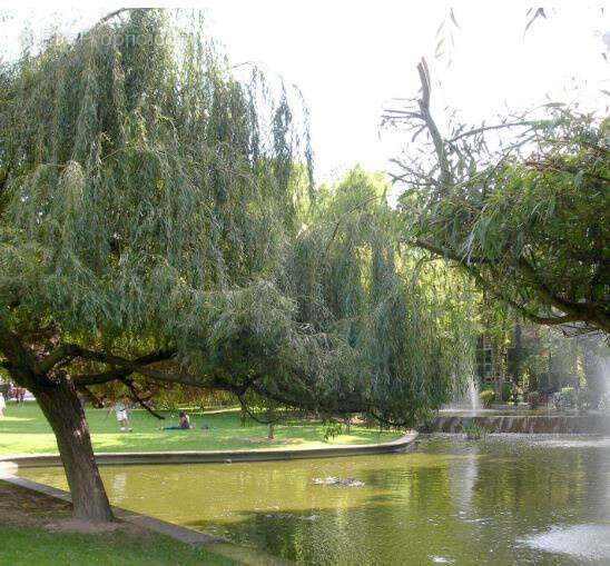 Appartement à SURESNES
