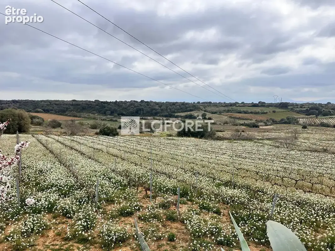 Terrain à BAIXAS