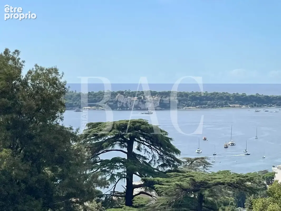 Cannes, Avenue du Roi Albert 1er - photo 8