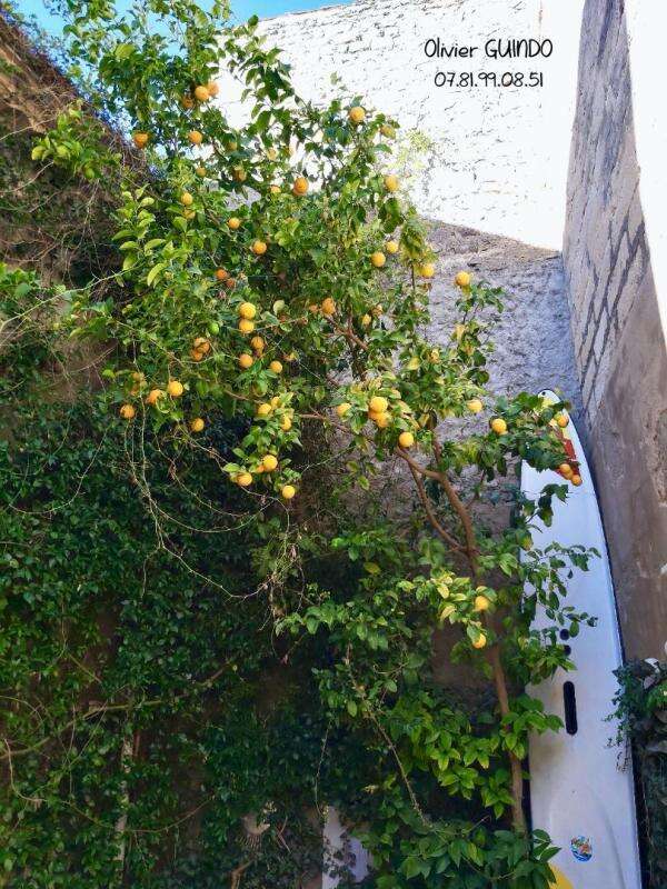 Maison à LANSARGUES