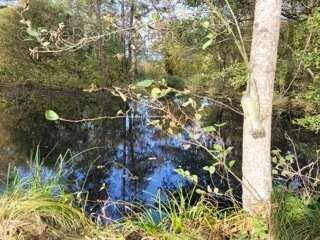 Terrain à STRASBOURG
