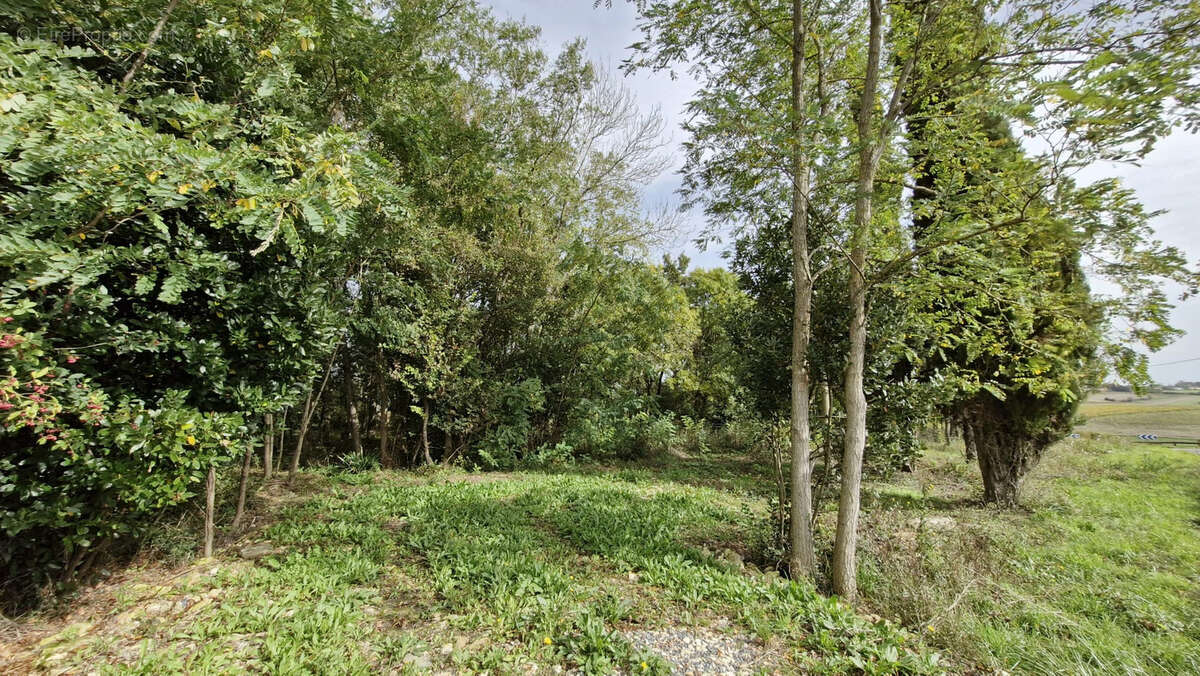 Terrain à CHENAC-SAINT-SEURIN-D&#039;UZET