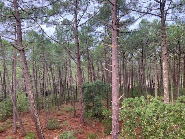 Appartement à CARCANS