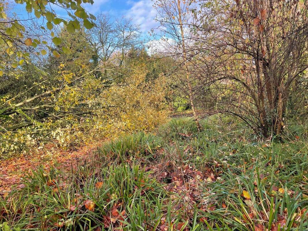 Photo 3 - Appartement à TOURCOING