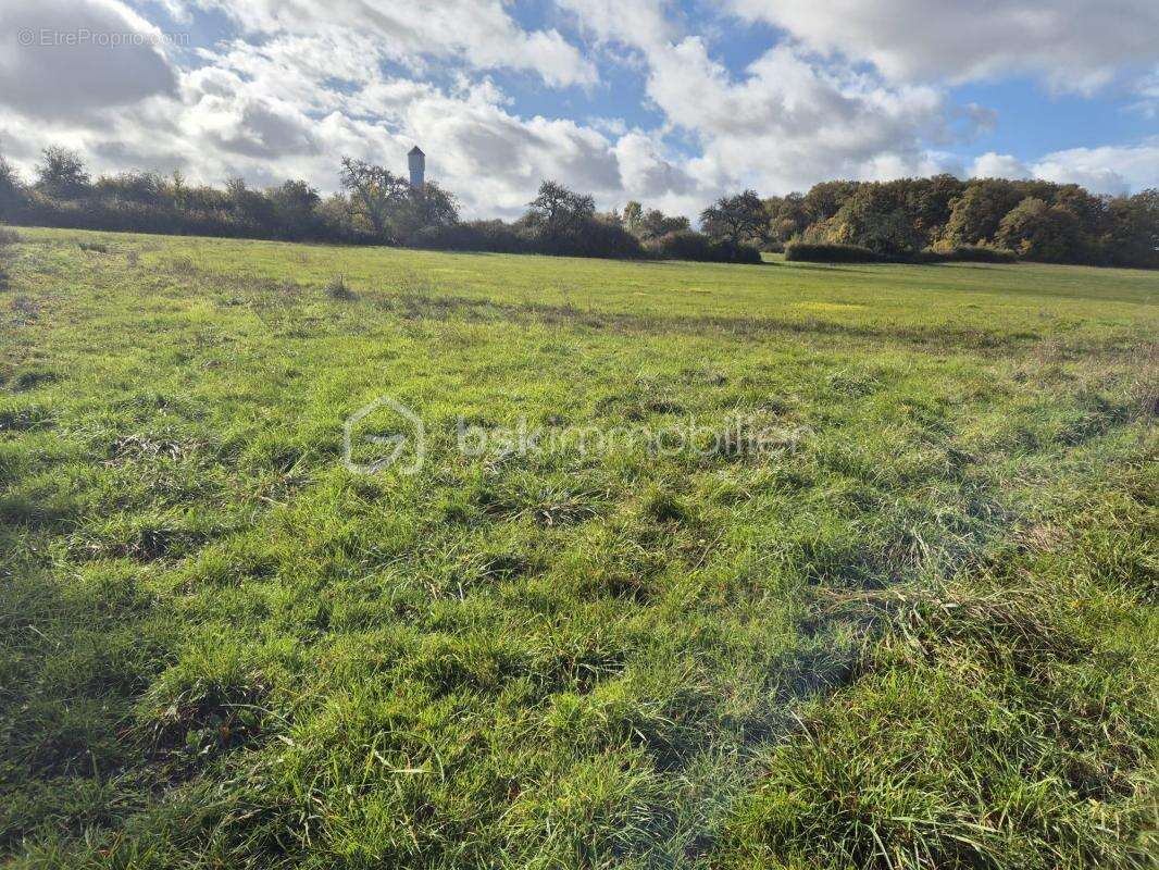 Maison à VILLIERS-AU-BOUIN