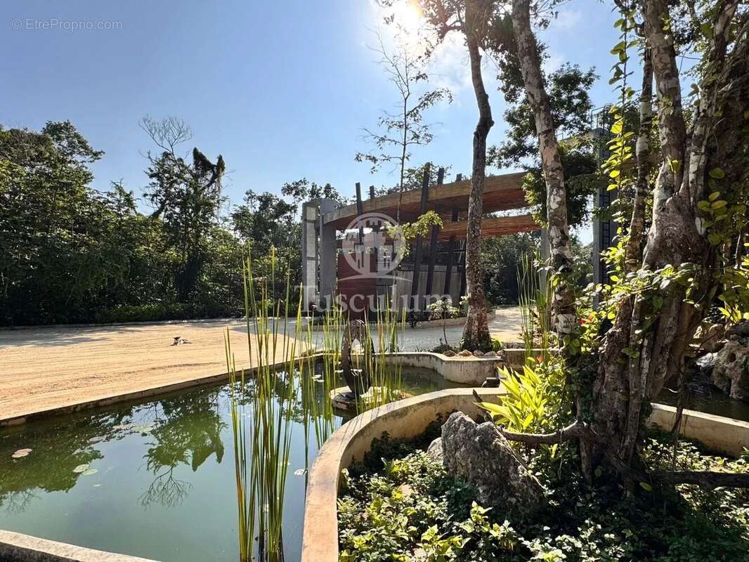 Mukta residencial - terrain + maison mexique - photo 12
