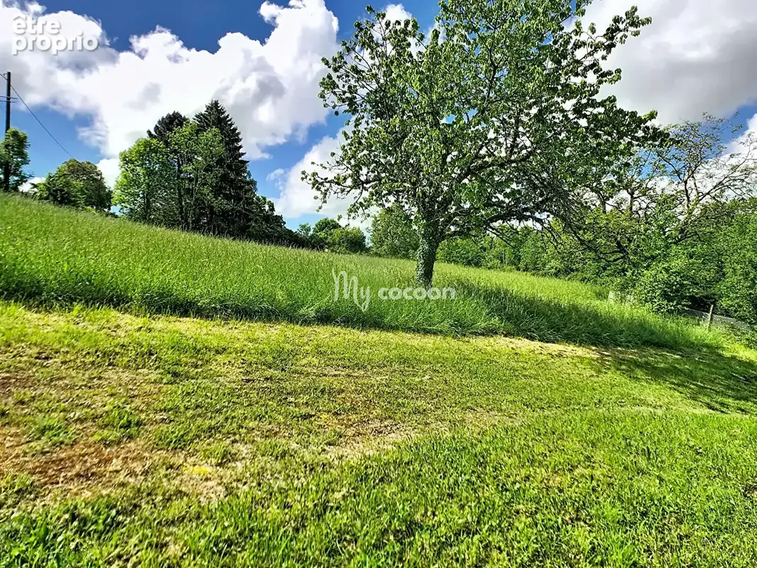 Grangeon - 61 m² - photo 3