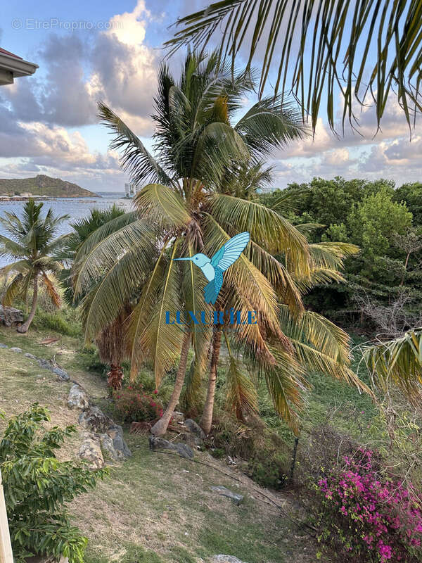 Appartement à SAINT-MARTIN