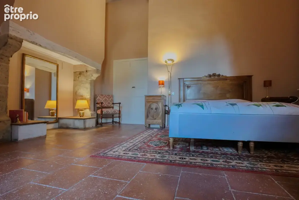 Château historique sur 19,5 hectares - photo 6