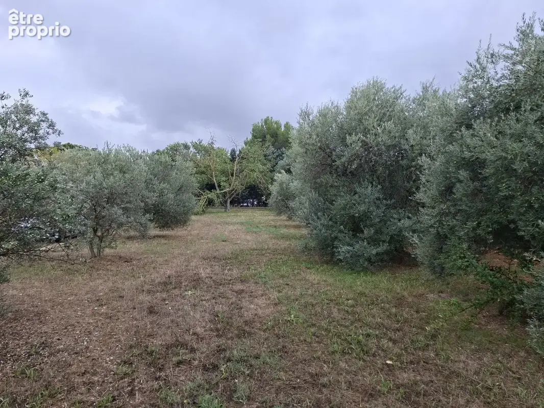 Terrain à bâtir de 500 m² à LA MOTTE-D'AIGUES (84) - photo 2