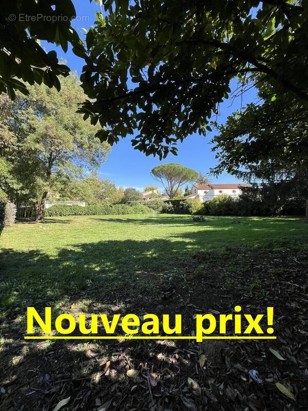 Terrain à PIN-BALMA