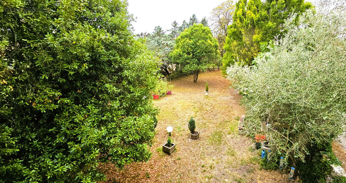 Maison à CORDES-SUR-CIEL