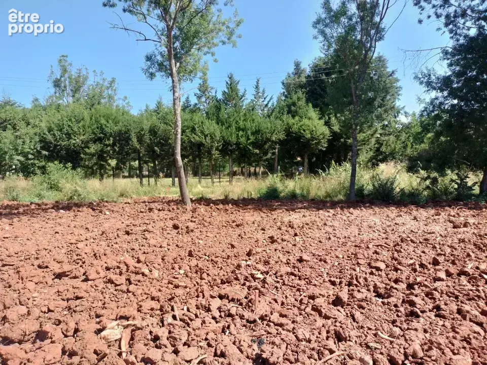 Terrain à LE LUC