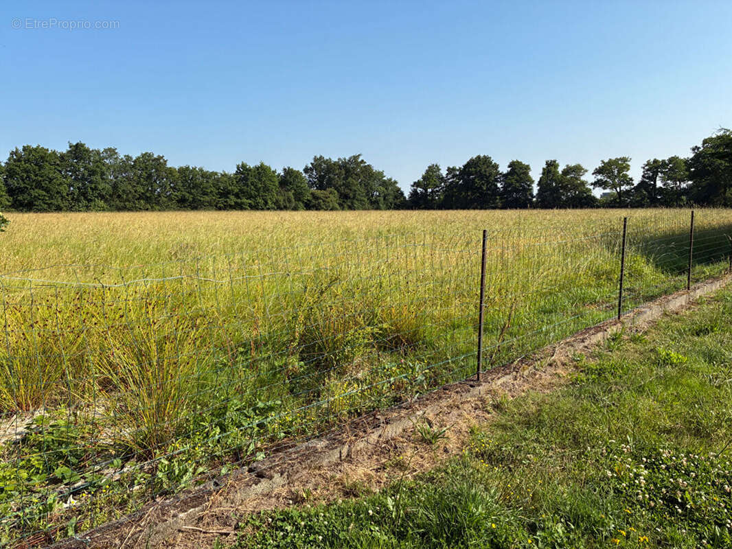 Terrain à SAINT-PHILBERT-DE-GRAND-LIEU