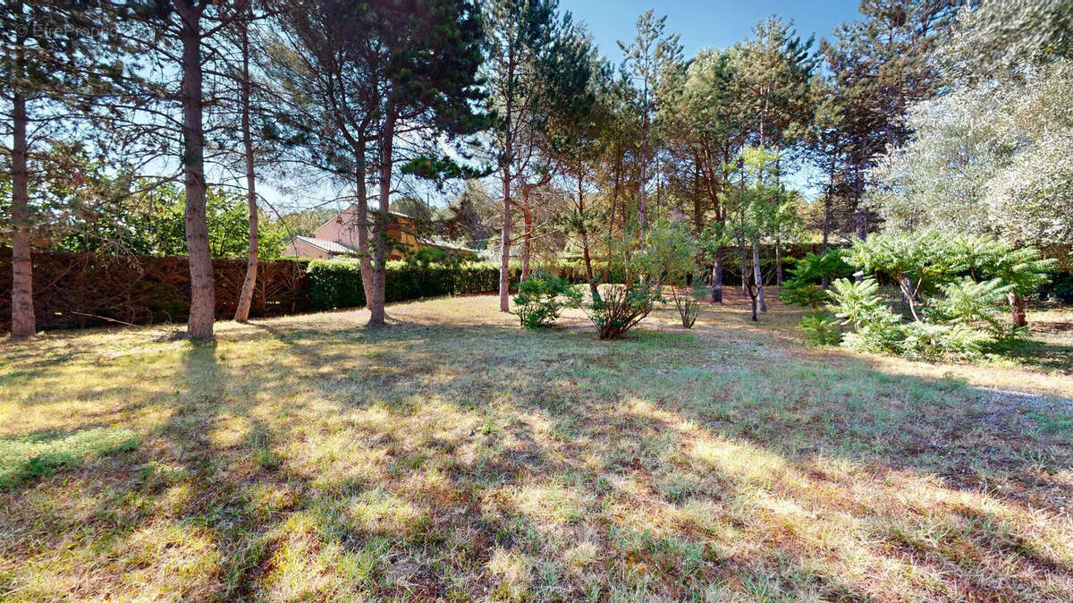 Maison Limoux 5 pièce(s) 179.43 m2 - photo 3