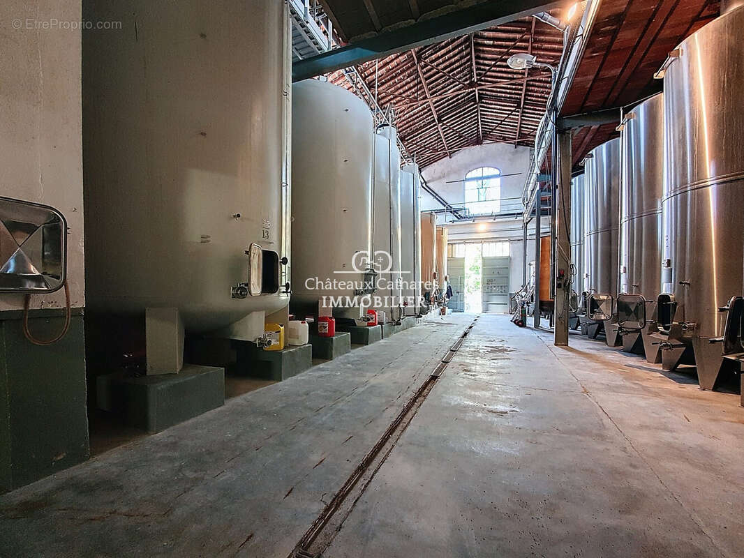 Commerce 730 m² à Saint-Paul-De-Fenouillet  - photo 2