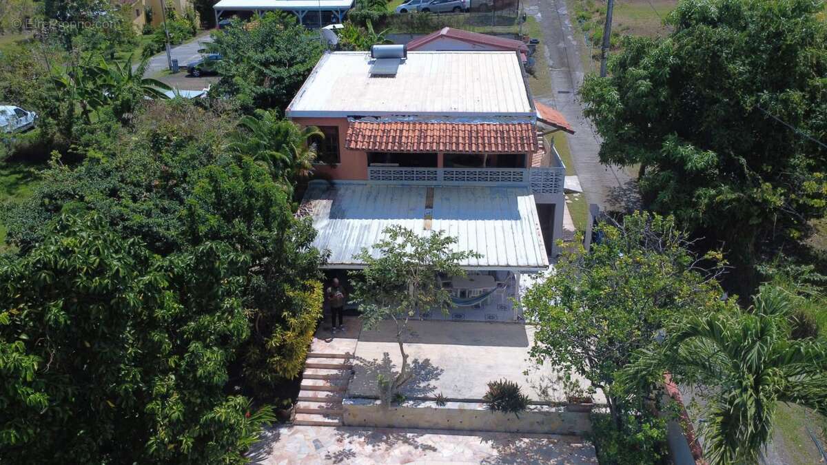 Maison à RIVIERE-SALEE