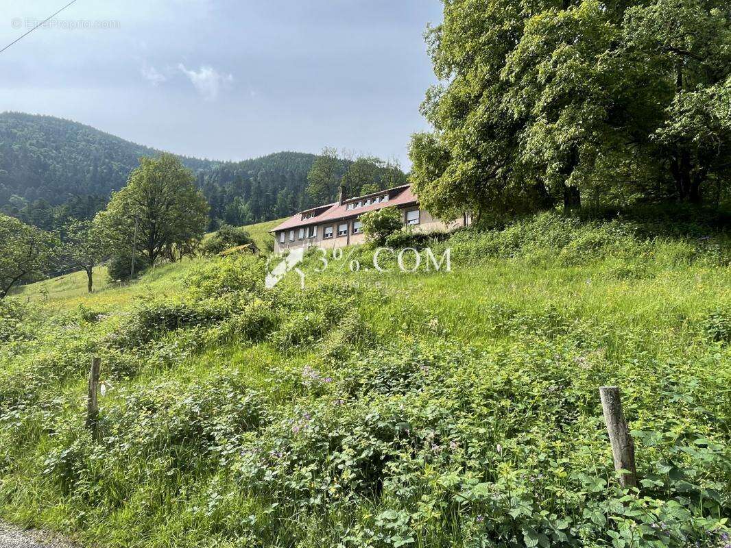 Maison à SAINTE-MARIE-AUX-MINES