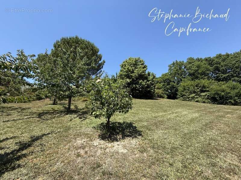 Propriete à vendre 7 pièces chateauvieux (05) - photo 23