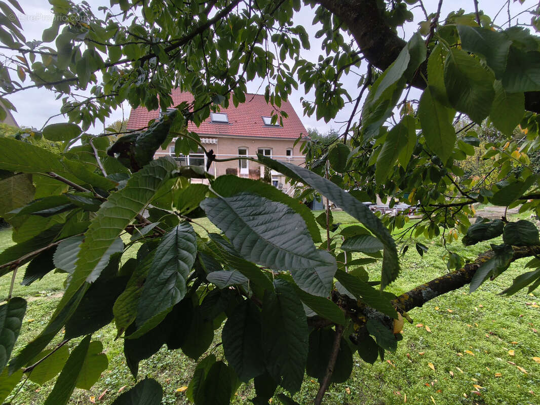 Maison à HENIN-BEAUMONT