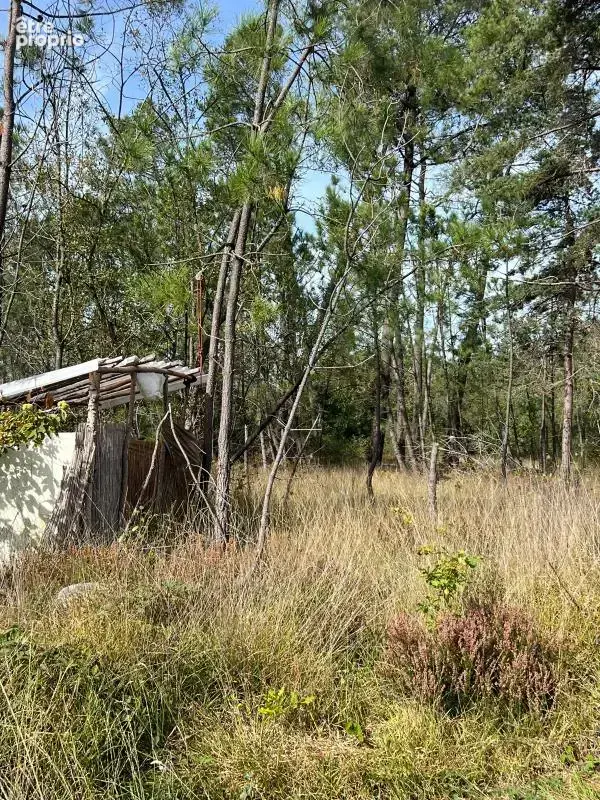 À vendre – argol – finistère – presqu’île de crozon-exceptionnel terrain de loisirs de 40 000 m² - photo 68