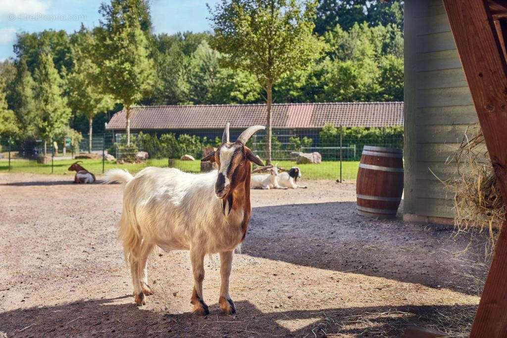 Investissement dans un Center Parcs - photo 25
