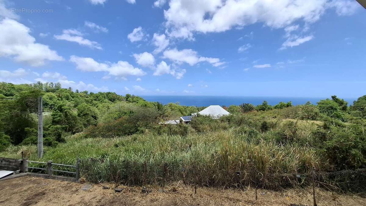 A VENDRE : Villa 2 T2 et 1 T4 (Vieux Habitants - 97119) - photo 12
