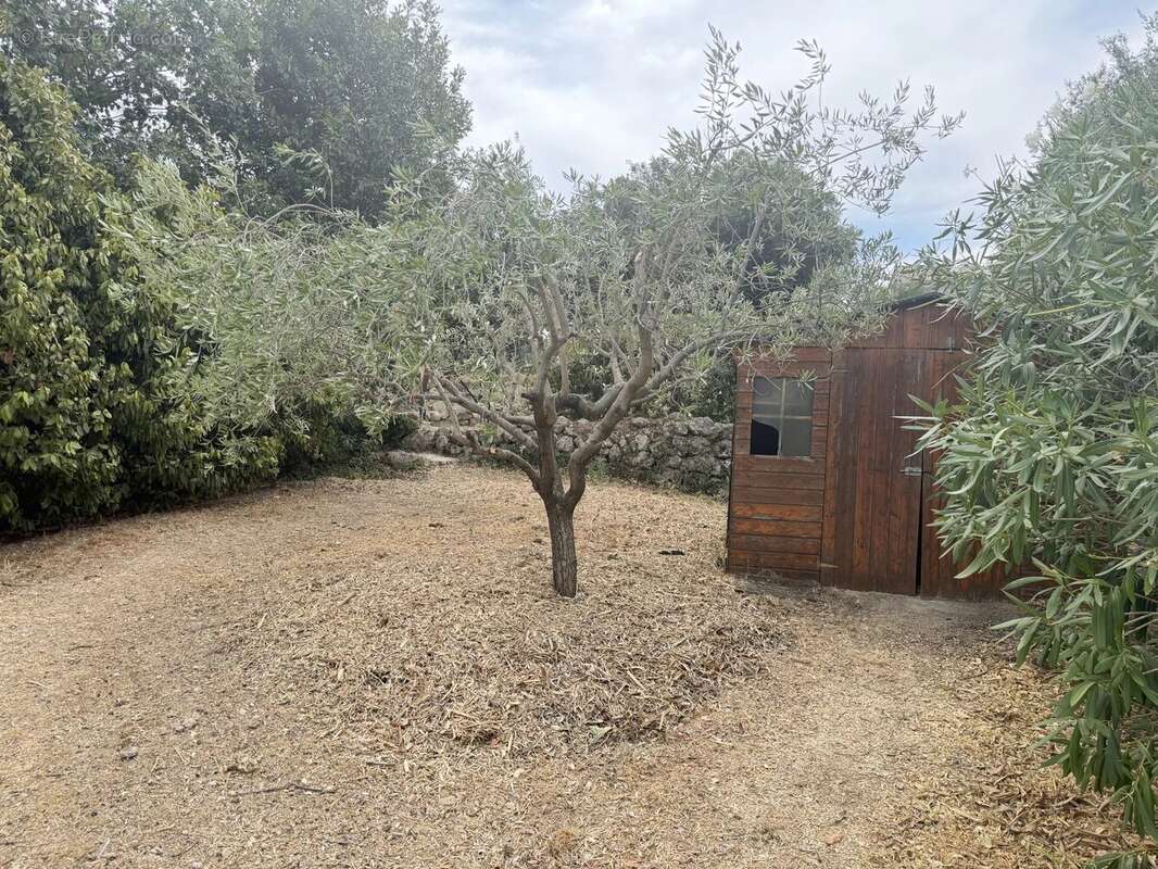 Figanières – Villa de plain-pied avec piscine dans environnement privilégié - photo 8
