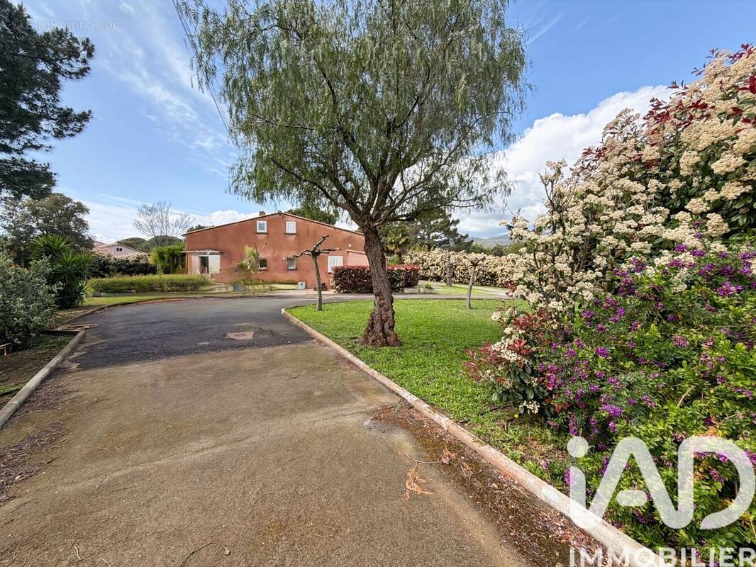 Photo 1 - Maison à SOLARO