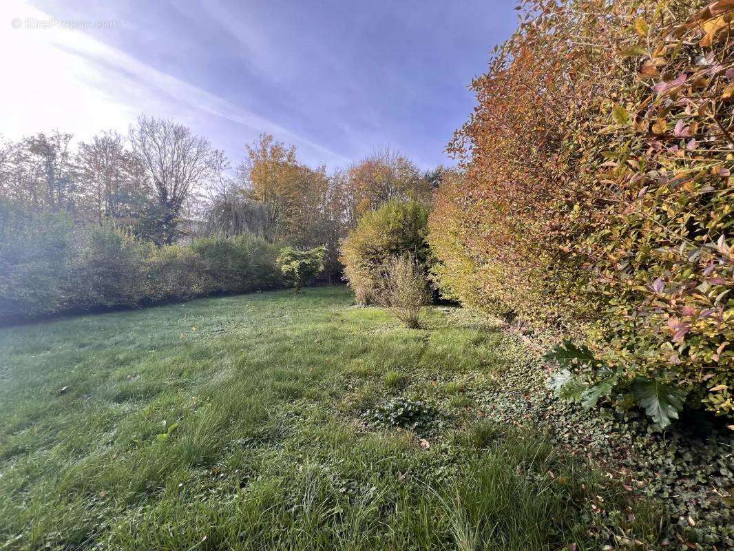 Maison à DAMMARTIN-EN-GOELE