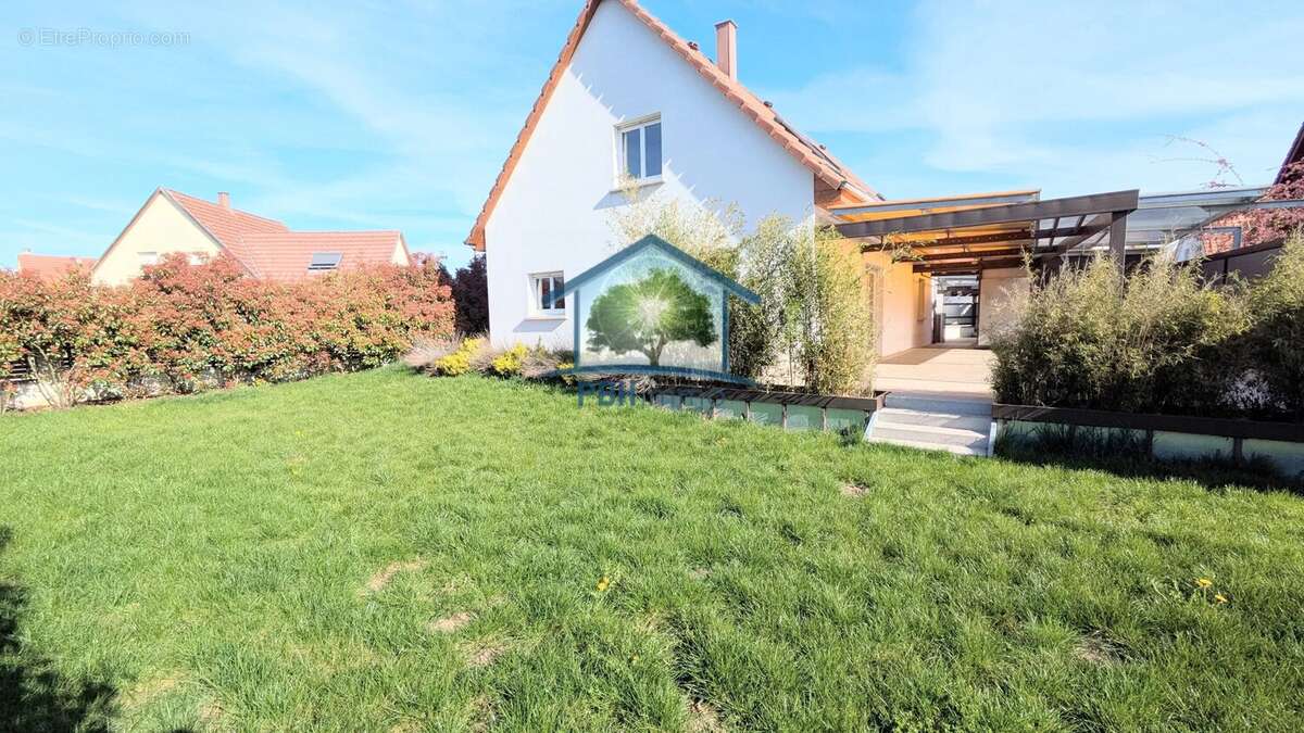 Maison à PFAFFENHOFFEN