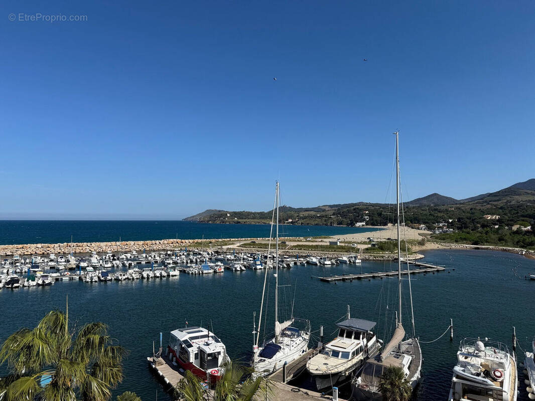 Photo 1 - Appartement à ARGELES-SUR-MER
