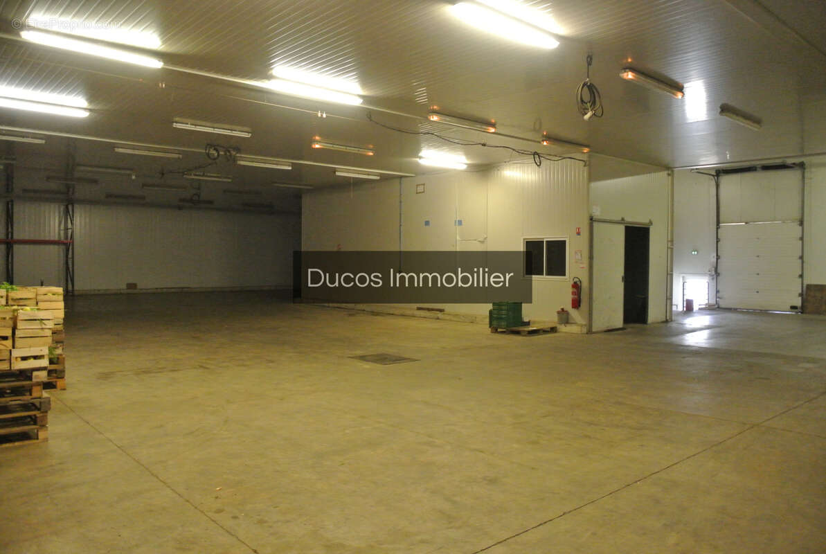 À vendre   Bâtiment professionnel à Marmande - photo 6