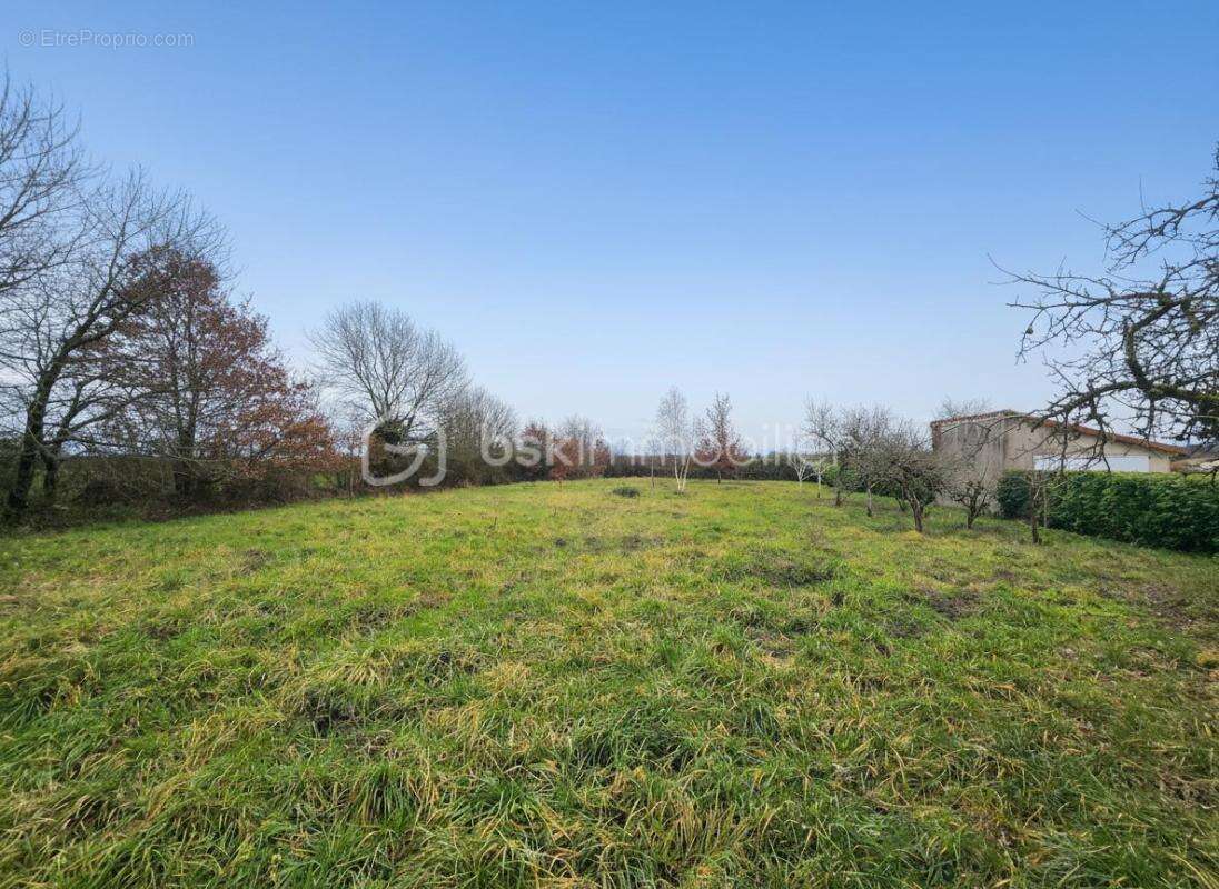 Venez découvrir ce grand terrain constructible à Sanxay (86) - photo 3