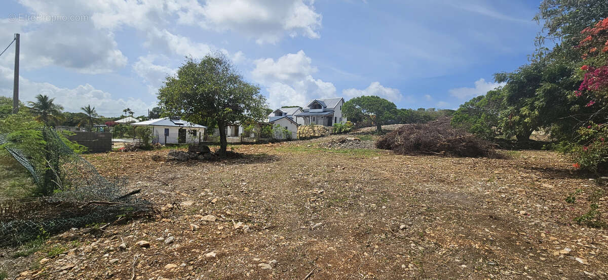 Terrain à SAINT-FRANCOIS