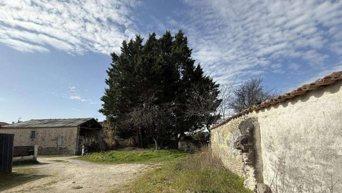 Appartement à NERE
